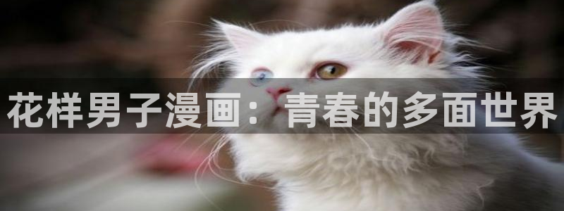 妖姬漫画下载安装：花样男子漫画：青春的多面世界