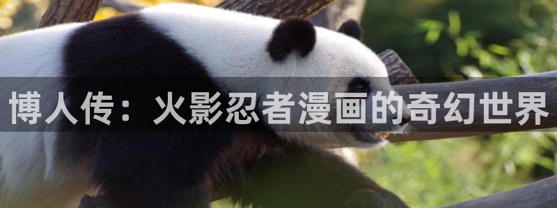 妖姬漫画免费登录入口界面在哪：博人传：火影忍者漫画的奇幻世界